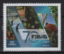 Mexico (2024) Set / FIRA