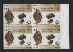 Nepal (2013) Block of 4 - Imperforated / Extinct Primate