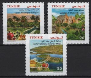 Tunisia (2024) Set / Agriculture