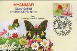 Myanmar (2024) Card / Butterfly (9)