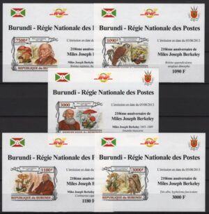 Burundi (2013) Blocks (5) - Imperforated / Mushrooms