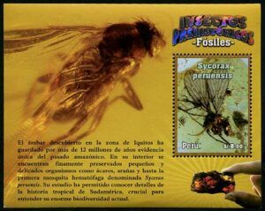 Peru (2014) Block / Mosquito
