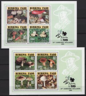Burkina Faso (1996) Yv. 952/59 - 2 Blocks / Jamboree Netherlands