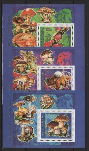 Comores (1992) Mi. Bl. 358/60 / Mushrooms