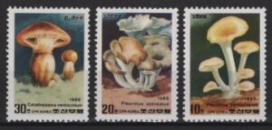 Korea (1985) Yv. 1794 / Mushrooms