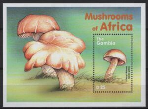 Gambia (2000) Yv. Bf. 464 / Mushrooms