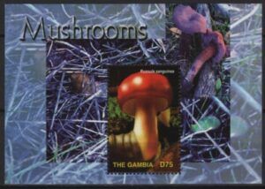 Gambia (2004) Yv. Bf. 621 / Mushrooms