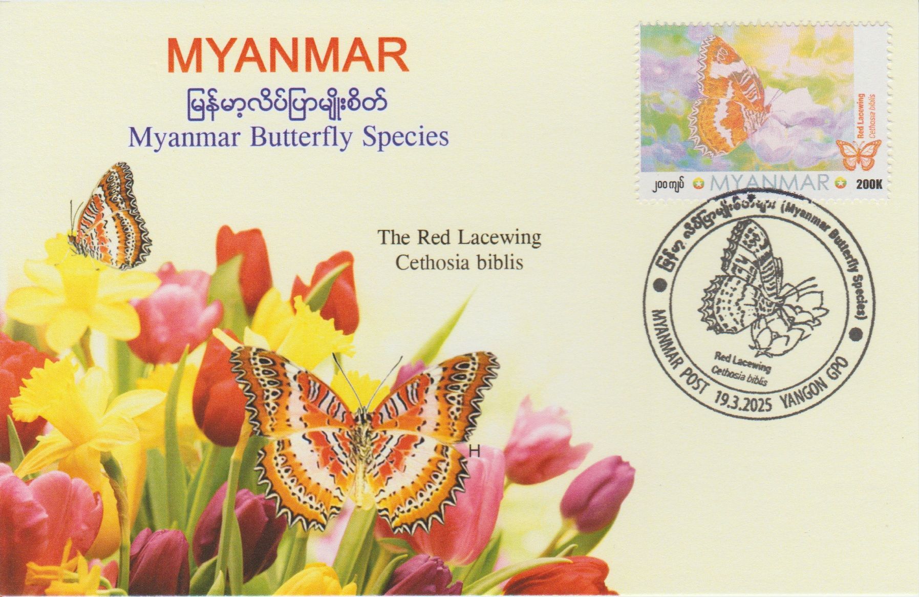 Myanmar (2025) Card / Butterfly (11)