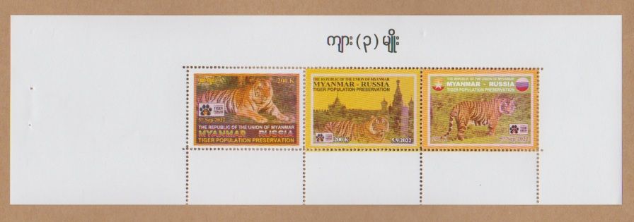 Myanmar (2025) Sheet / Tiger