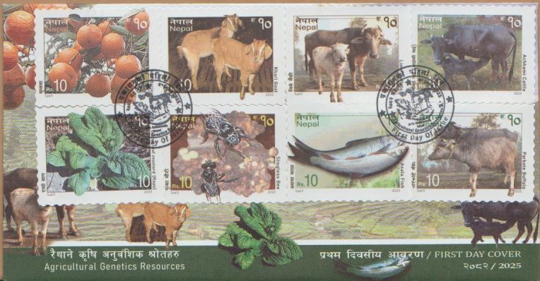 Nepal (2025) FDC / Agricultural Genetics Resources