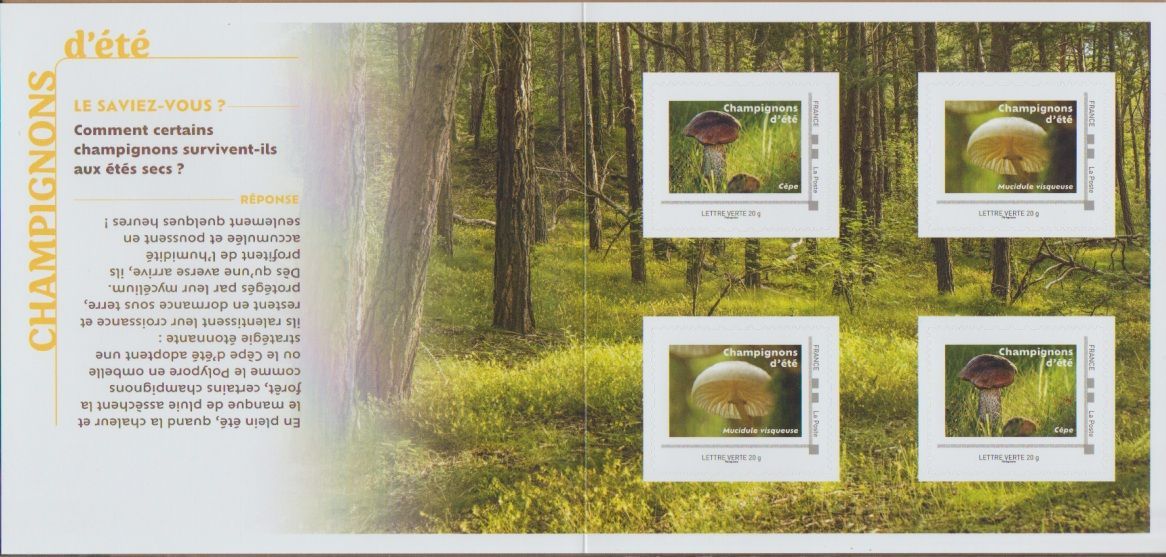 France (2025) MS / Summer Mushrooms