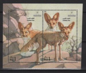 Oman (2025) Block / Fox