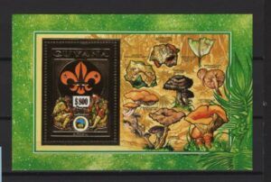 Guyana (1992) Mi. Bl. 236A / Mushrooms & Boy Scouts