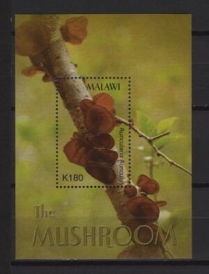 Malawi (2003) Yv. Bf. 82 / Mushrooms