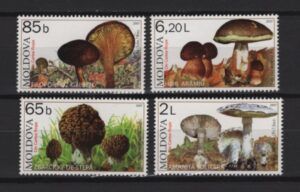 Moldova (2007) Yv. 502/05 / Mushrooms