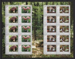 Bosnia & Herzegovina (2008) Yv. 403/06 - MS / Mushrooms