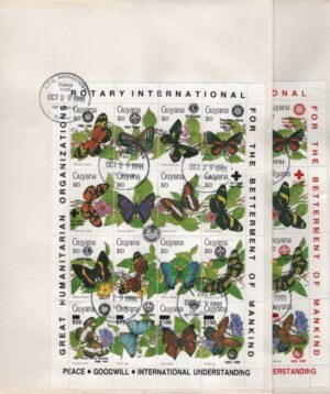 Guyana (1991) 2 FDC / International Organizations