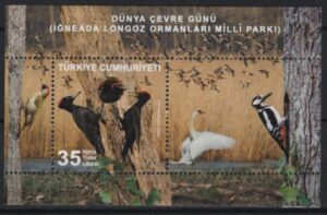 Turkey (2025) Block / Park