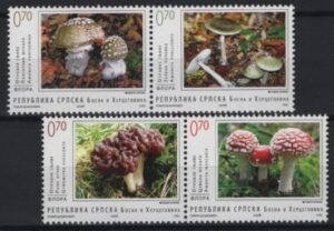 Bosnia & Herzegovina (2008) Yv. 403/06 / Mushrooms