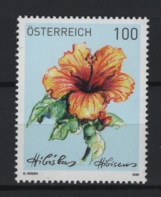 Austria (2026) Set / Flower