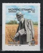 Italy (2024) Set / N. Stampelli