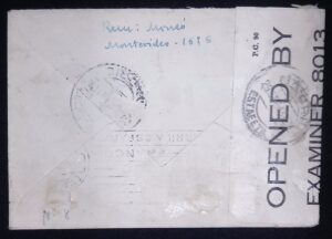 FER0029
